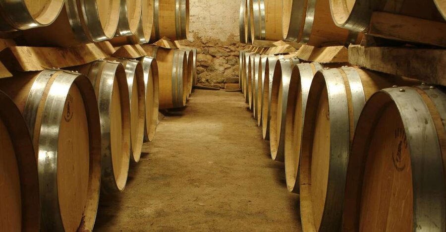 From Marseille: Aix en Provence Wine and Cheese Tour - From Marseille to Sainte-Victoire: a full day with a clear rhythm