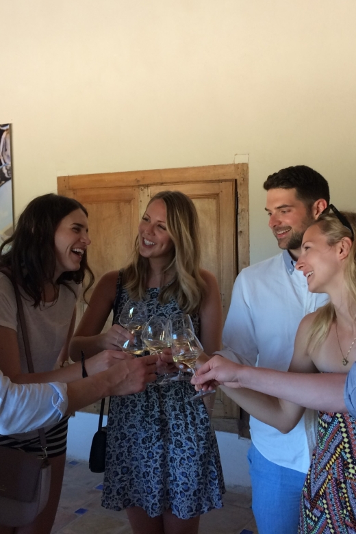 From Marseille: Aix en Provence Wine and Cheese Tour - The morning vineyard: guided tasting that actually teaches you