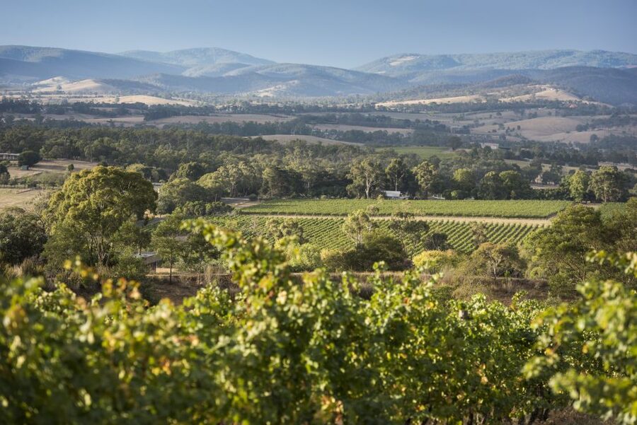 From Melbourne: Yarra Valley Chandon Cheese & Kangaroos Tour - Yarra Valley Chocolaterie & Ice Creamery: tasting plus the real queue