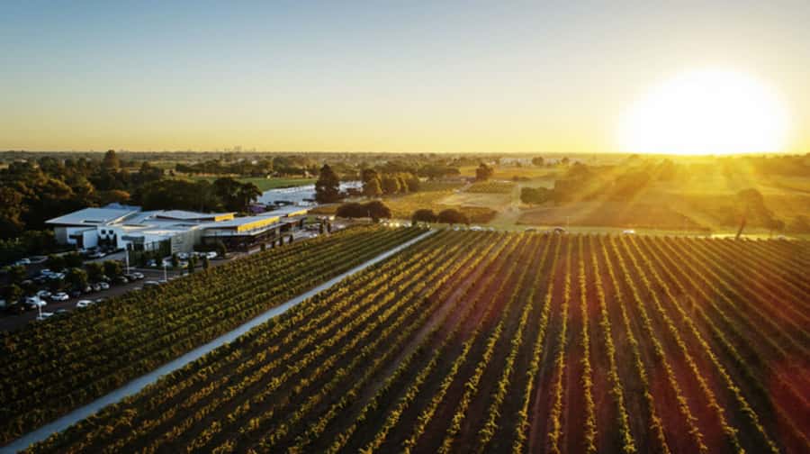 From Perth: Swan Valley Cruise, Winery, Cheese & Lunch - Key Things That Make This Tour Work