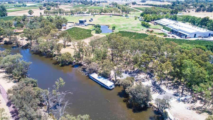 From Perth: Swan Valley Cruise, Winery, Cheese & Lunch - Who Should Book This Swan Valley Wine Cruise