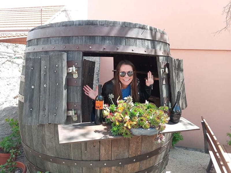 From Split: Krka Waterfalls with Wine & Cheese Tasting Tour - Split to Krka in an air-conditioned coach (with Wi‑Fi)
