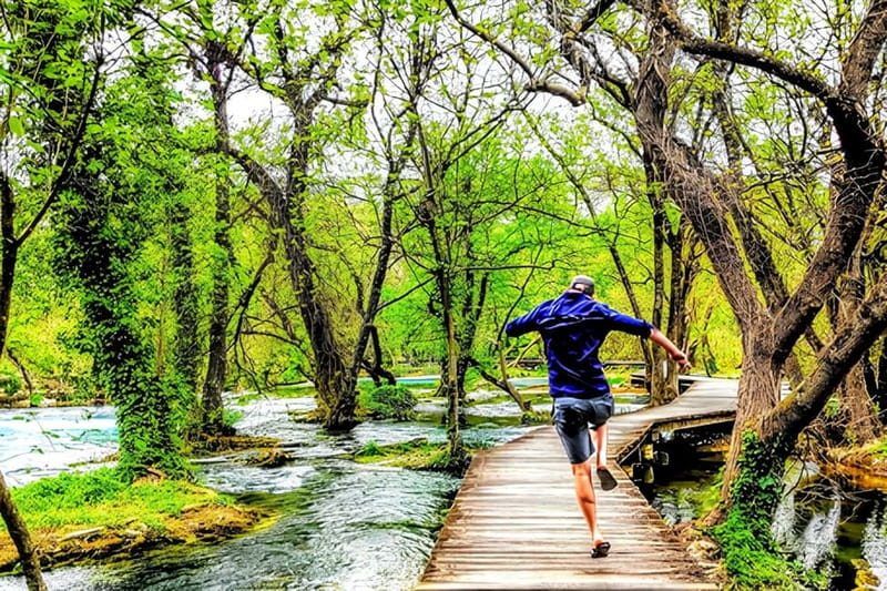 From Split: Krka Waterfalls with Wine & Cheese Tasting Tour - Skip-the-line into Krka National Park: less waiting, more waterfall time