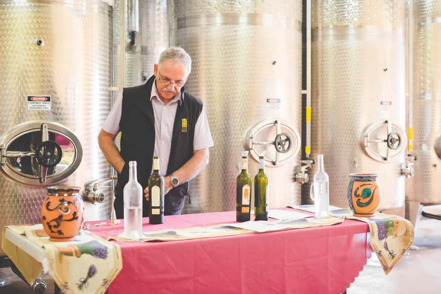 From Sydney: Award-Winning Hunter Valley Wine & Cheese Tour - Price and what $166 buys you in the real world
