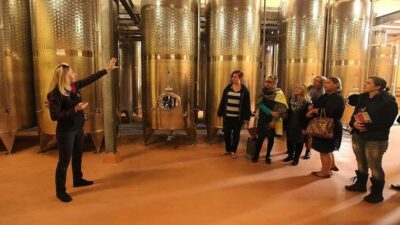 From Sydney: Award-Winning Hunter Valley Wine & Cheese Tour - Pickup timing in central Sydney: pick the easiest door