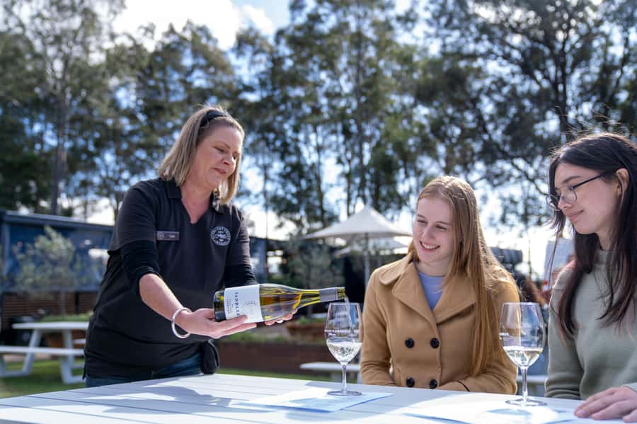 From Sydney: Award-Winning Hunter Valley Wine & Cheese Tour - Boutique cellar doors in Pokolbin: what the winery stops feel like