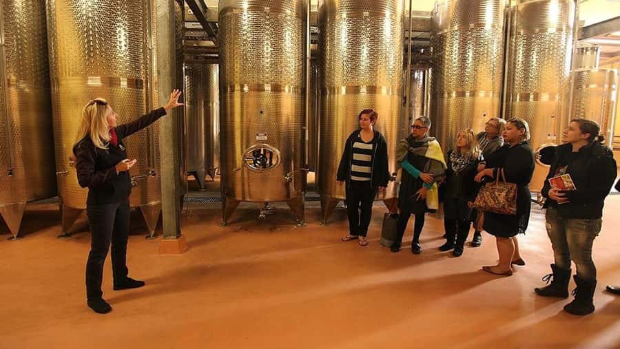 From Sydney: Award-Winning Hunter Valley Wine & Cheese Tour - Pickup timing in central Sydney: pick the easiest door