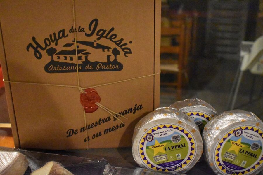 From Valencia: Guided Cheese Factory Tour with Wine Tasting - Price and value: is $117 fair for 7 hours?