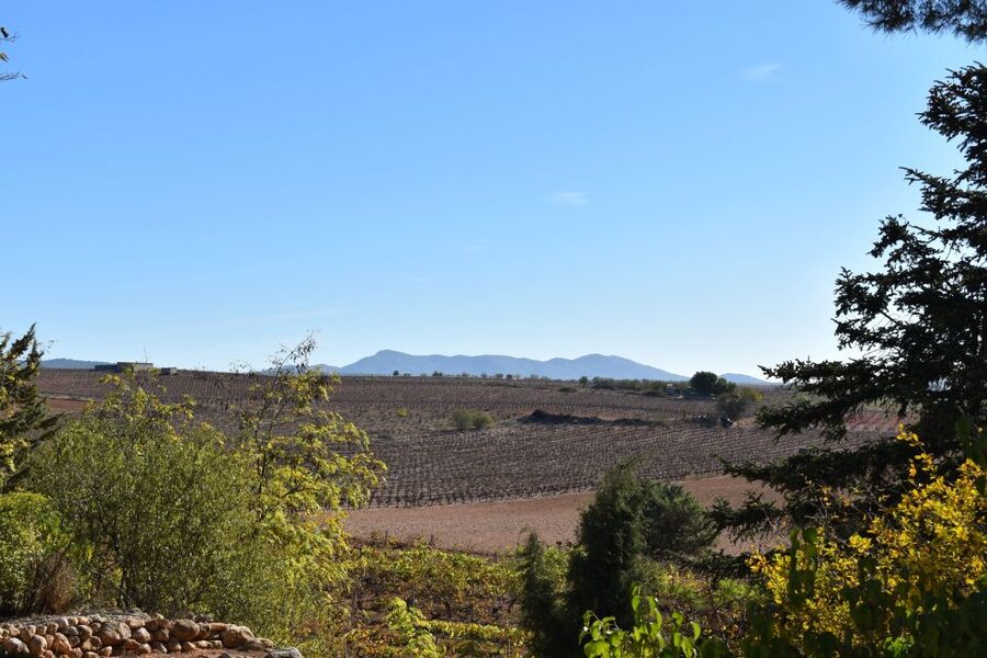 From Valencia: Guided Cheese Factory Tour with Wine Tasting - Who this tour suits (and who might prefer something else)