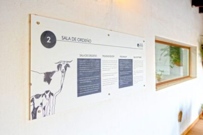 Fuerteventura: Artisan Goat's Cheese Making at Local Farm - Arrival coffee and farm introductions that set the tone