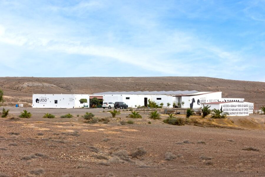 Fuerteventura: Artisan Goat's Cheese Making at Local Farm - Group size, language, and pacing: who this workshop suits best