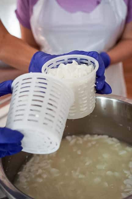 Fuerteventura Goat Cheese Workshop with Transfer from the South - Why a goat cheese workshop on Fuerteventura makes sense