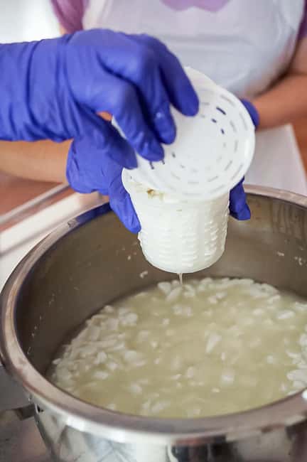Fuerteventura Goat Cheese Workshop with Transfer from the South - The hands-on cheese making part: what you’ll actually do