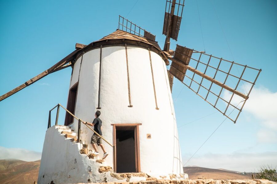 Fuerteventura: Tickets to Salt, Cheese and Windmill Museums - Key points to know before you buy