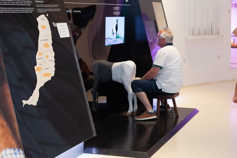 Fuerteventura: Tickets to Salt, Cheese and Windmill Museums - Should you book the Salt, Cheese and Windmill Museums combo?