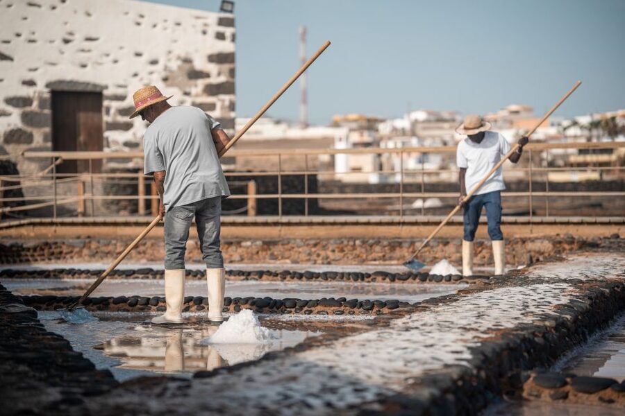 Fuerteventura: Tickets to Salt, Cheese and Windmill Museums - Why these three museums belong together on Fuerteventura