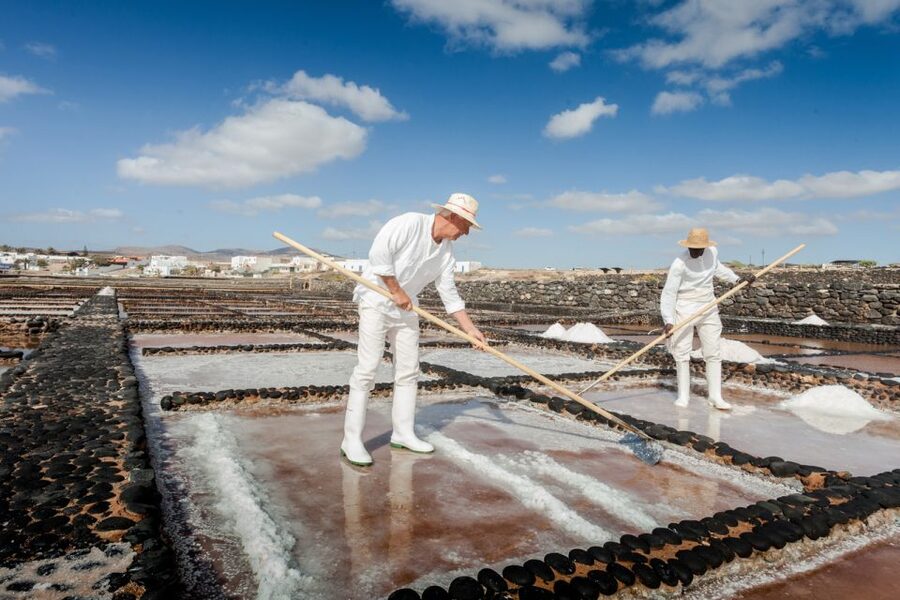 Fuerteventura: Tickets to Salt, Cheese and Windmill Museums - Centro de Interpretación de los Molinos: kneaded gofio and windmill power