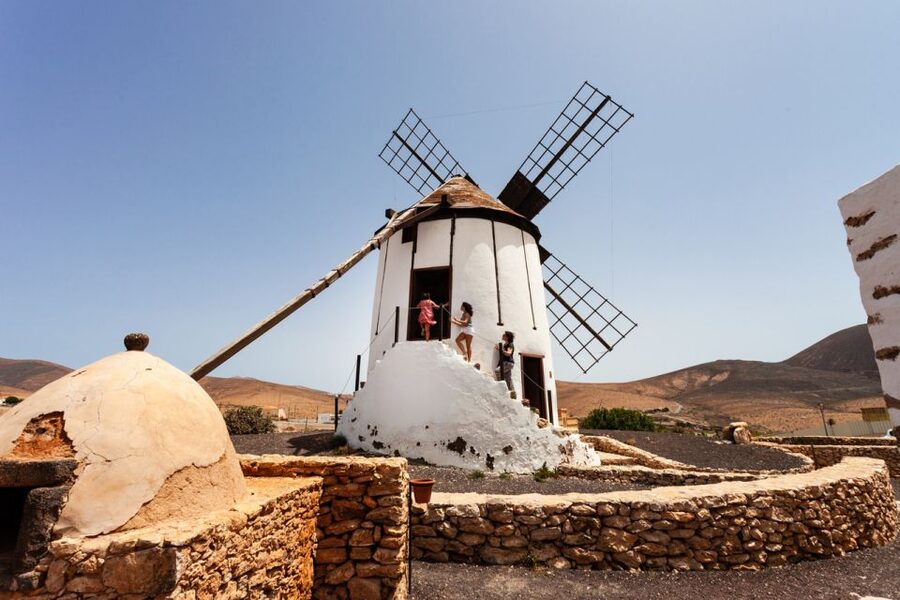 Fuerteventura: Tickets to Salt, Cheese and Windmill Museums - Who this combo suits best (and who should reconsider)