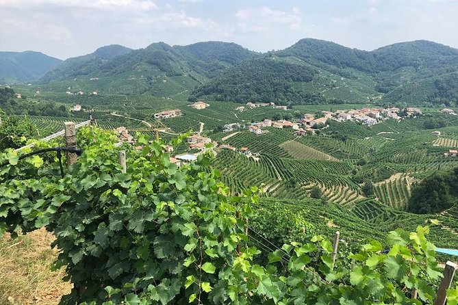 Full Day Prosecco and Cheese Tasting from Venice - Key highlights at a glance