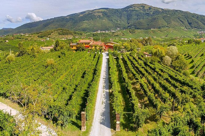 Full Day Prosecco and Cheese Tasting from Venice - Osteria Senz’Oste viewpoint: the photo stop that turns into a memory