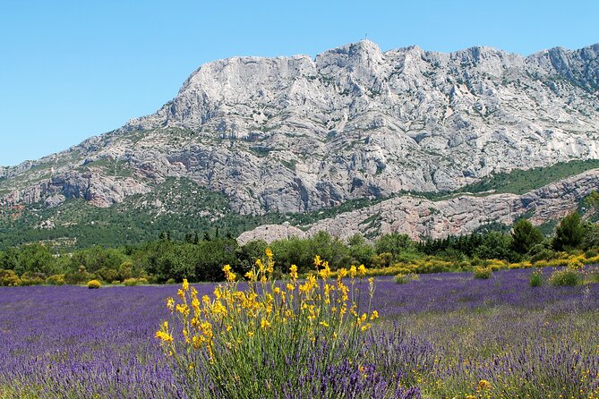 Full-Day Wine and Cheese Tour around Aix-en-Provence from Marseille - Afternoon Winery Stop: Rosé, Aromatic Whites, and Full-Bodied Reds