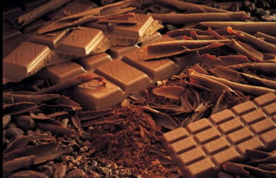 Geneva: Gruyères Tour with Chocolate, Cheese & Golden Train - Starting at Place Dorcière: coach comfort and timing to expect