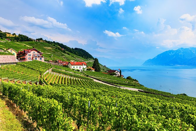 Geneva to Gruyère Private Day Trip. Cheese & Chocolate Tour - The Lavaux wine terrace photo stop: short scenic payoff