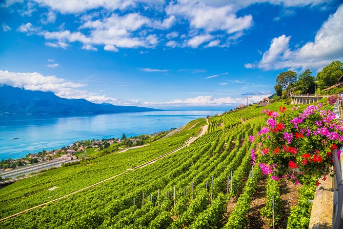 Geneva to Gruyère Private Day Trip. Cheese & Chocolate Tour - Stop 2: Gruyères village time, medieval streets, and cheese village atmosphere