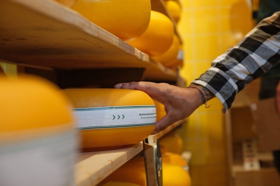 Gouda: Gouda Cheese Experience Entry Ticket - The interactive show and self-guided flow: how you’ll move through it