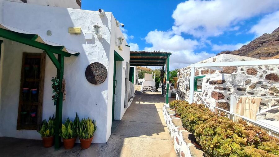 Gran Canaria: canarian rum & local cheese tasting tour - Canarian cheese tasting: the hour that makes the tour worth it