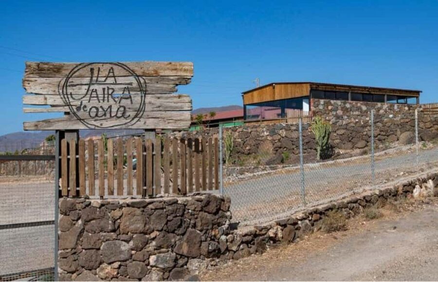 Gran Canaria: Cheese Workshop in Agüimes - Key things I’d watch for at La Jaira de Ana