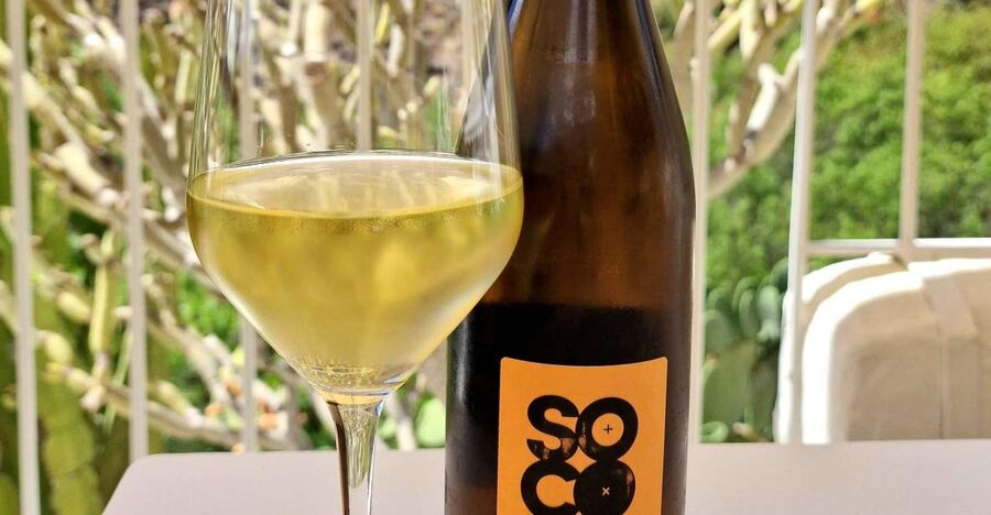 Gran Canaria: Tasting wine & local cheese in Mogan - The hour of Canarian cheese tasting you’ll remember