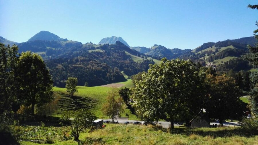 Gruyères, Cheese and Chocolate: Private Guided Tour - The price question: $511 per person, and what you’re really buying