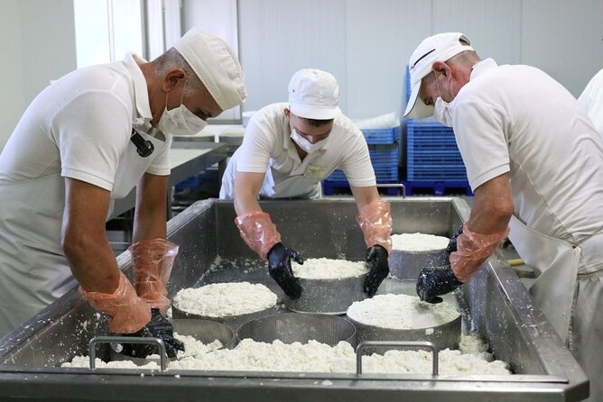 Guided Tour Montesdeoca Cheese Factory - Cheese and Wine Tasting - Who should book this cheese-and-wine farm tour