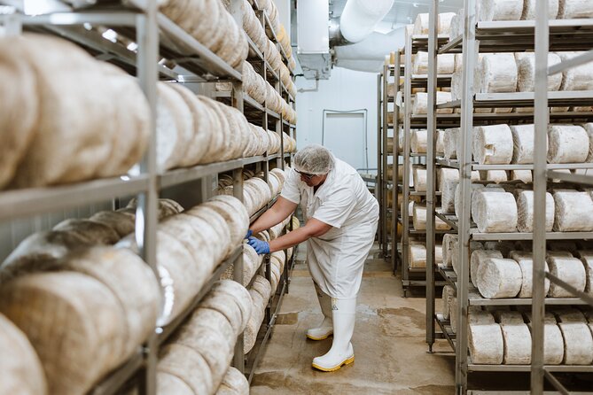 Guided Tour with Cheese & Wine Pairing - Inside the factory: what you’ll see from those viewing platforms