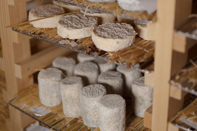 Guided visit of the Cheese Museum with Tasting Included - Musée Vivant du Fromage on Île Saint-Louis: your 1-hour plan