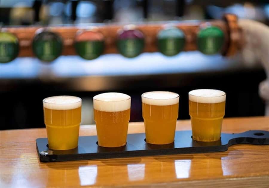 Hahndorf: Grunthal Gin, Beer, Wine, and Cheese Tasting - Key highlights to look for