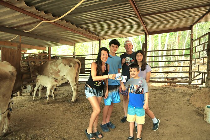 Hands-on Mexican Farm Experience: from Cow to Cheese - Key things to know before you go