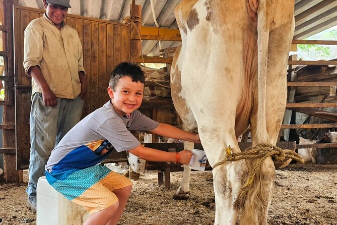 Hands-on Mexican Farm Experience: from Cow to Cheese - Riding Into the Mountains: Open-Air Transport to the Farm