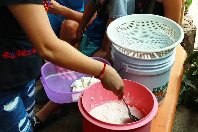 Hands-on Mexican Farm Experience: from Cow to Cheese - Artisanal Cheese-Making: Watching the Steps Add Up