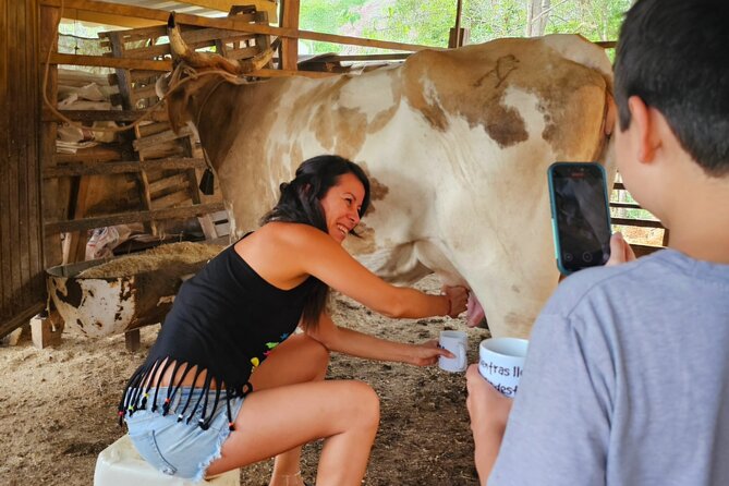 Hands-on Mexican Farm Experience: from Cow to Cheese - Price and Value: What $44.01 Really Buys You