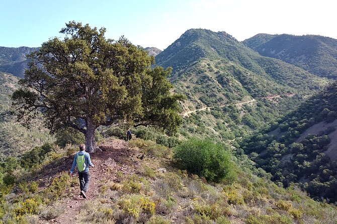 Hike the Cork Oak trail and try some Delicious Cheese - Key things to know before you go