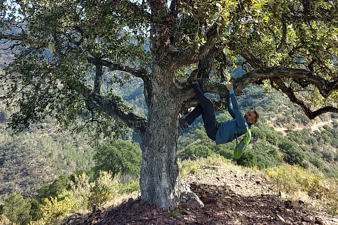 Hike the Cork Oak trail and try some Delicious Cheese - Almedijar cheese tasting: sheep and goat, plus coffee/tea energy