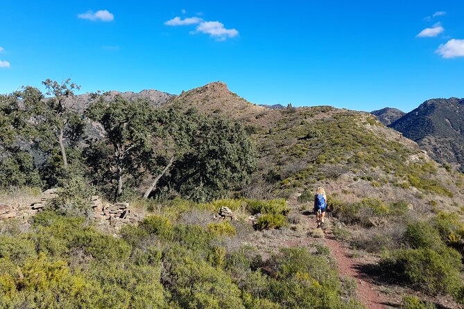 Hike the Cork Oak trail and try some Delicious Cheese - Why Pico Espadán views are the reason to do this route