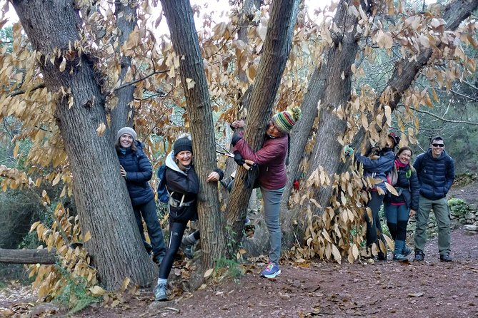 Hike the Cork Oak trail and try some Delicious Cheese - Food planning: coffee included, but bring your lunch for a picnic