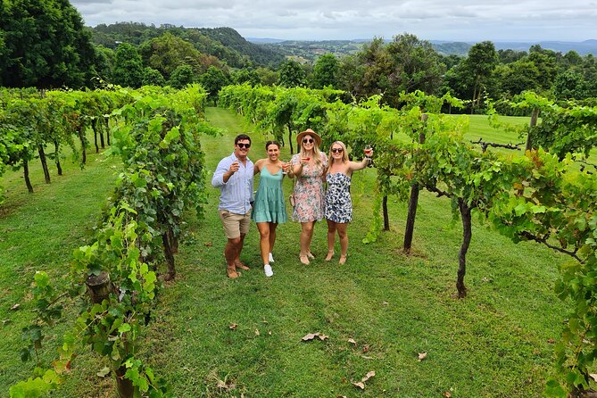 Hinterland Cheese & Wine Tasting Tour - with 2 course lunch included - A Half-Day Hinterland Crawl From Noosa: What the 6 Hours Feels Like