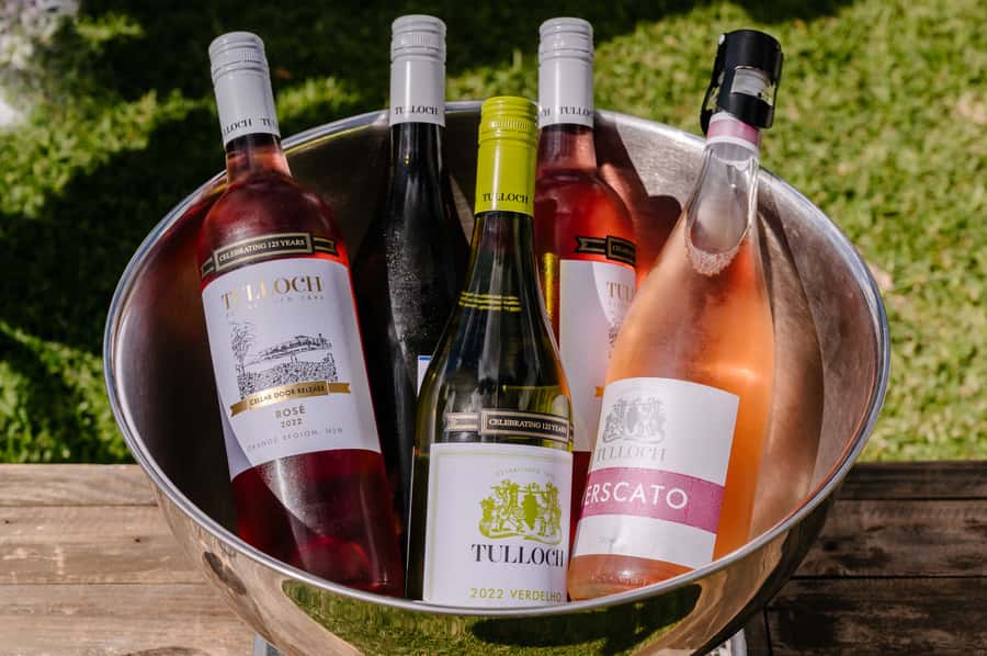 Hunter Valley: Tulloch Wines Mystery Wine & Cheese Tasting - Who This 1-Hour Mystery Tasting Fits Best