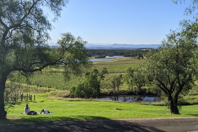 Hunter Valley wine and cheese starting from the Hunter region - Stop 2: Pokolbin’s Cellar Door Hub (and why the timing works)