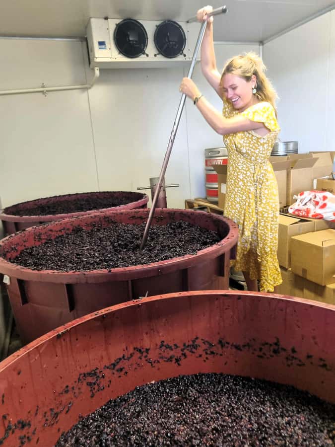 Hunter Valley: Wine, Gin, Cheese and Chocolate Tour - My decision guide: should you book?