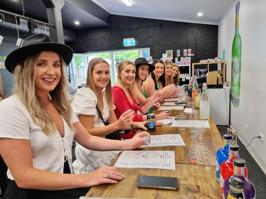 Hunter Valley: Wine, Gin, Cheese and Chocolate Tour - Cheese and chocolate pairings that aren’t just decoration